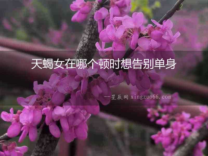 天蝎女在哪個頓時想告別單身