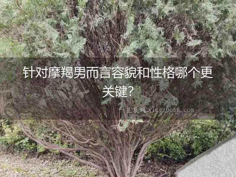 針對摩羯男而言容貌和性格哪個更關鍵？