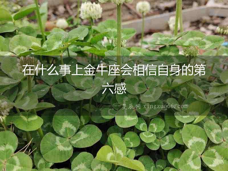 在什么事上金牛座會相信自身的第六感