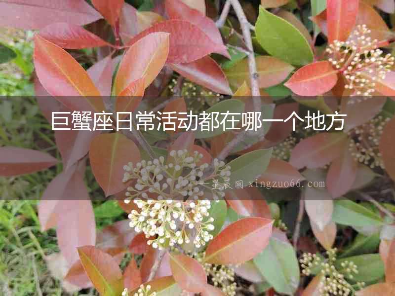 巨蟹座日常活動都在哪一個地方