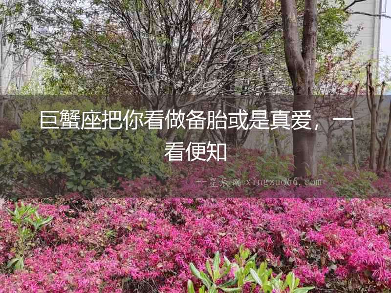 巨蟹座把你看做備胎或是真愛，一看便知