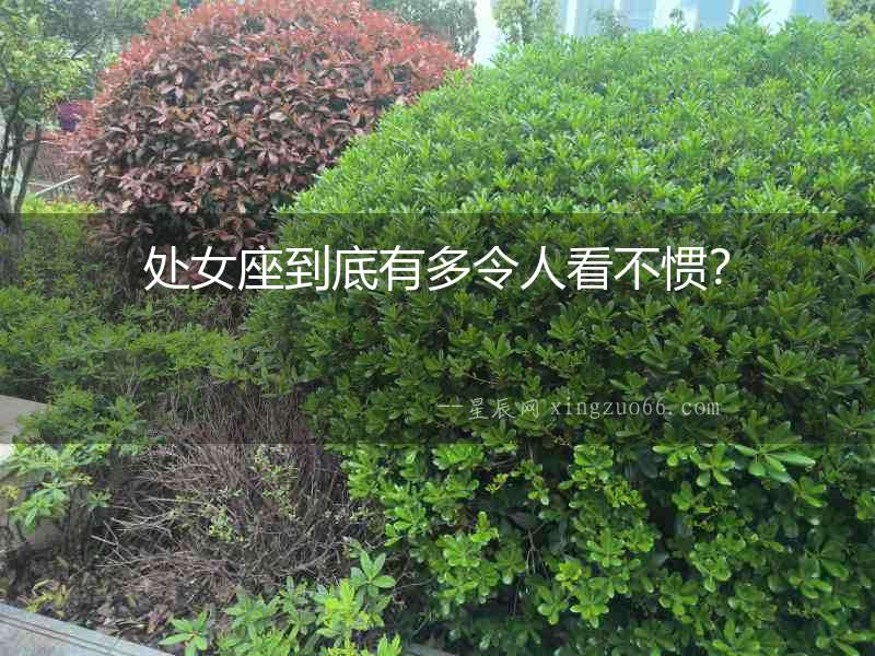 處女座到底有多令人看不慣？