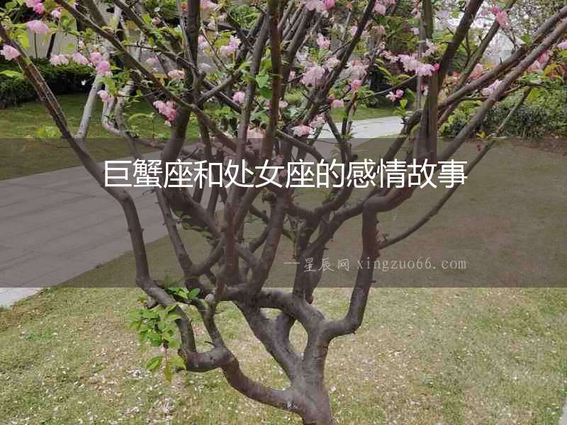巨蟹座和處女座的感情故事