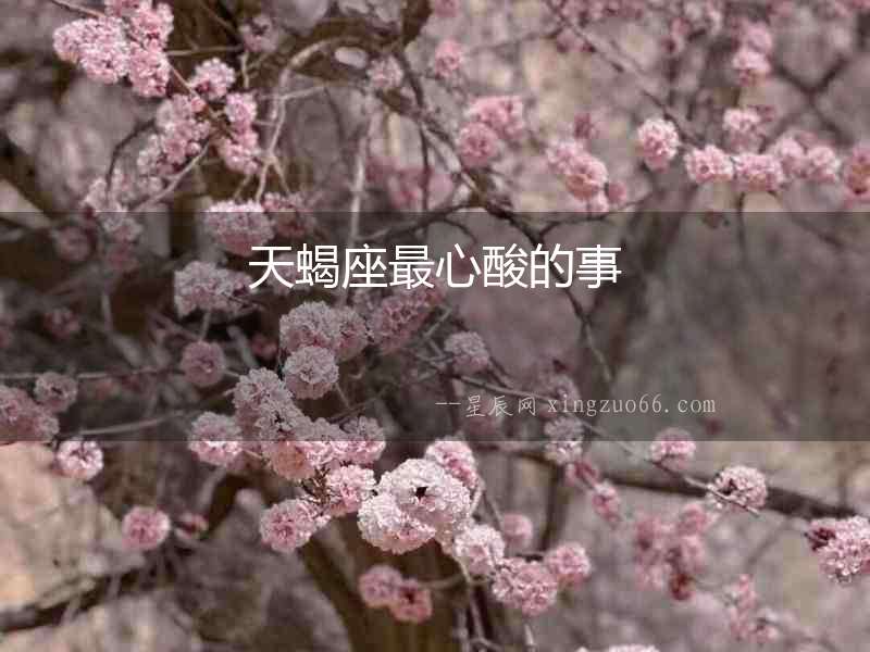 天蝎座最心酸的事