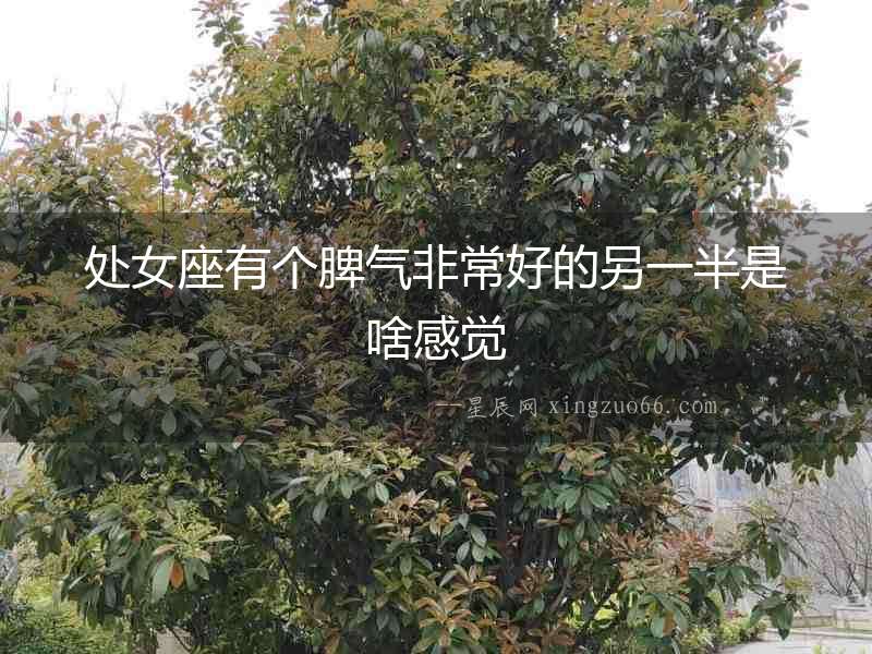 處女座有個(gè)脾氣非常好的另一半是啥感覺