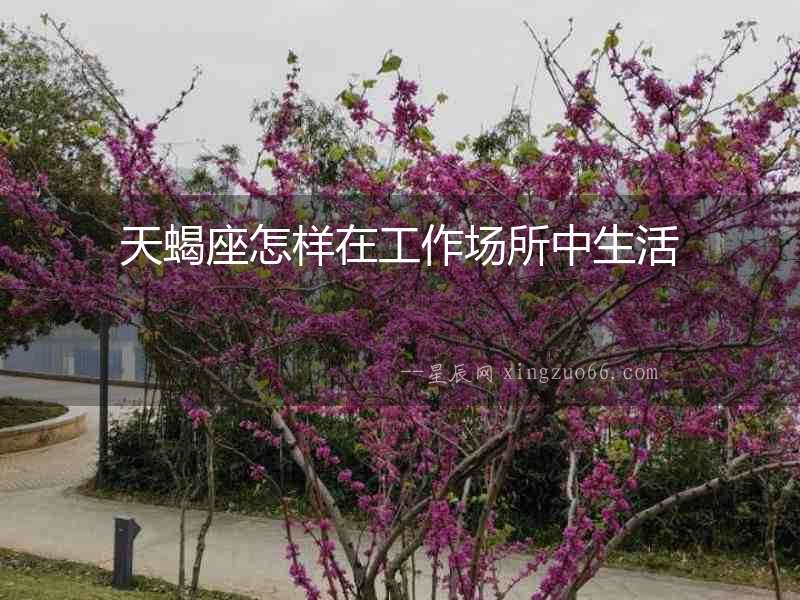 天蝎座怎樣在工作場所中生活