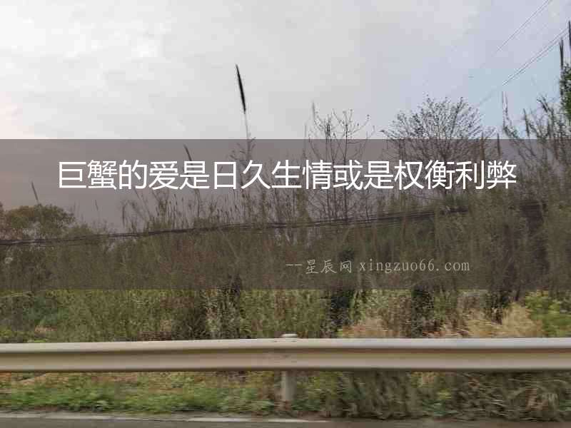 巨蟹的愛是日久生情或是權(quán)衡利弊