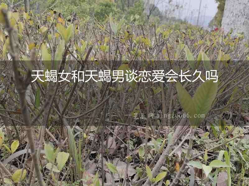 天蝎女和天蝎男談戀愛會長久嗎