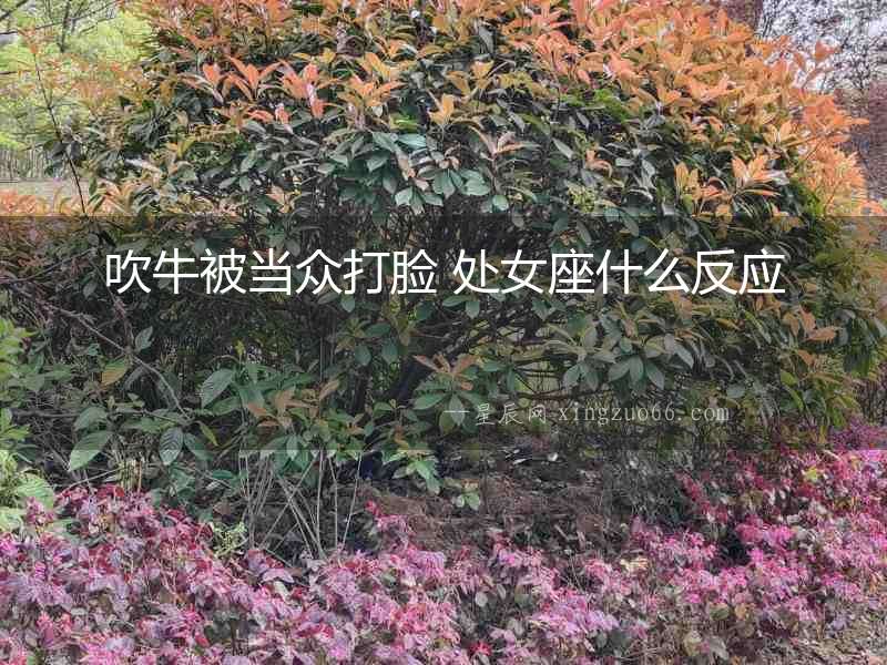 吹牛被當眾打臉 處女座什么反應