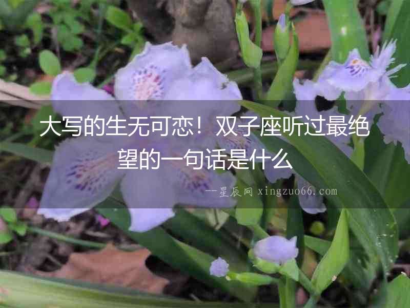 大寫的生無(wú)可戀！雙子座聽過最絕望的一句話是什么