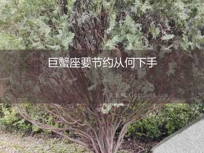 巨蟹座要節(jié)約從何下手