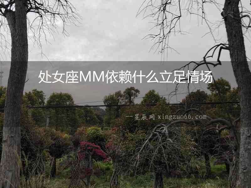 處女座MM依賴什么立足情場