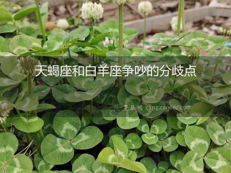 天蝎座和白羊座爭(zhēng)吵的分歧點(diǎn)