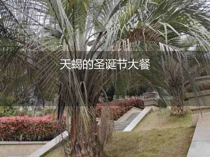 天蝎的圣誕節(jié)大餐
