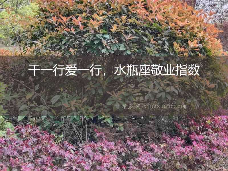 干一行愛一行，水瓶座敬業指數