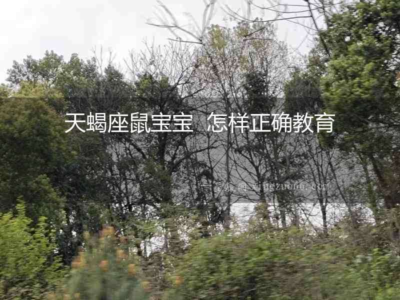 天蝎座鼠寶寶  怎樣正確教育