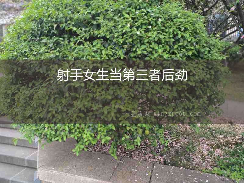 射手女生當第三者后勁
