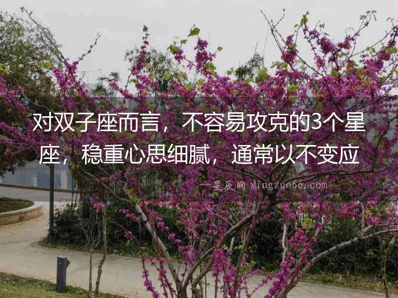 對雙子座而言，不容易攻克的3個星座，穩重心思細膩，通常以不變應萬變