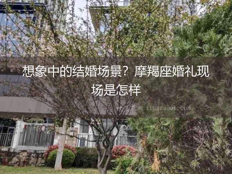想象中的結婚場景？摩羯座婚禮現場是怎樣