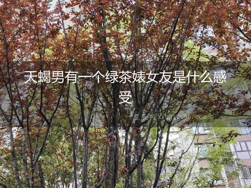 天蝎男有一個綠茶婊女友是什么感受