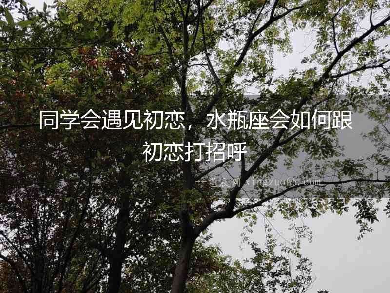 同學會遇見初戀，水瓶座會如何跟初戀打招呼