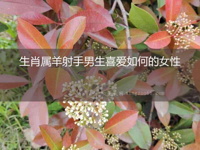 生肖屬羊射手男生喜愛(ài)如何的女性
