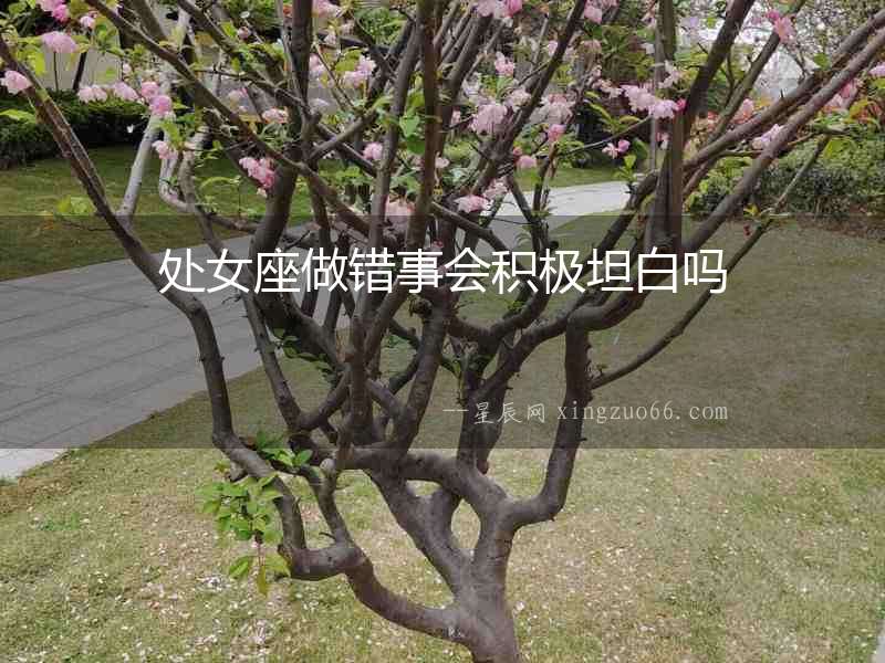 處女座做錯(cuò)事會(huì)積極坦白嗎