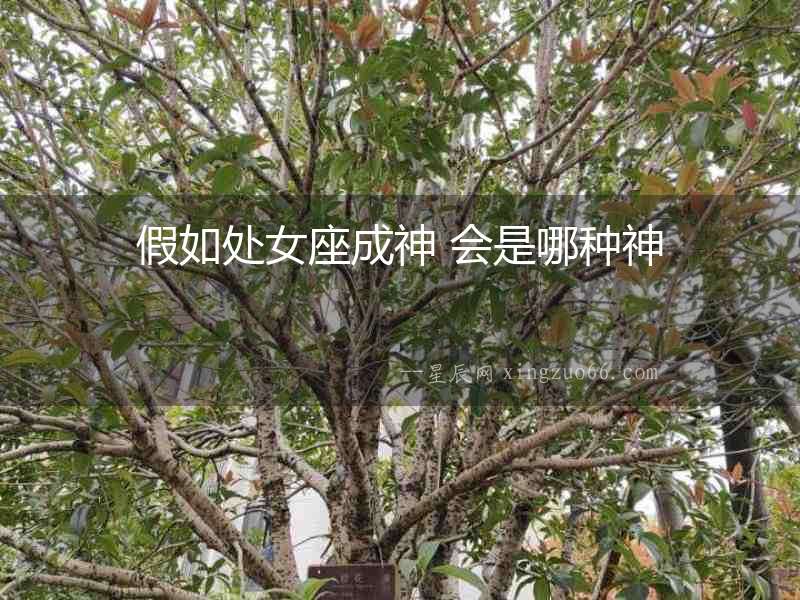 假如處女座成神 會是哪種神