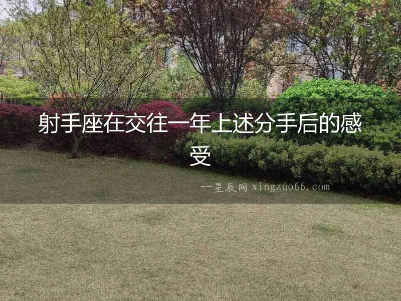 射手座在交往一年上述分手后的感受