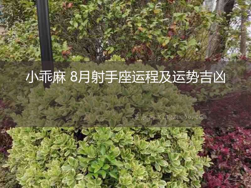 小乖麻 8月射手座運(yùn)程及運(yùn)勢(shì)吉兇