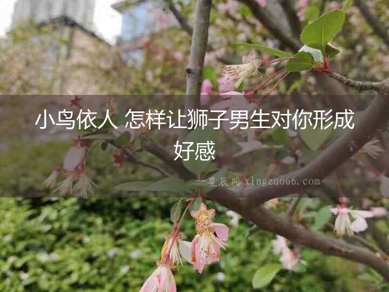 小鳥依人 怎樣讓獅子男生對你形成好感