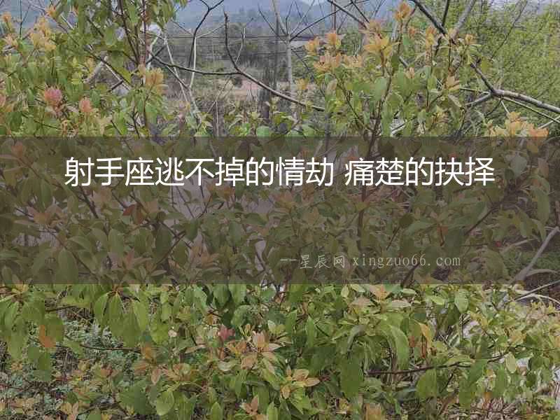 射手座逃不掉的情劫 痛楚的抉擇