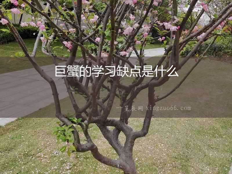 巨蟹的學(xué)習(xí)缺點是什么