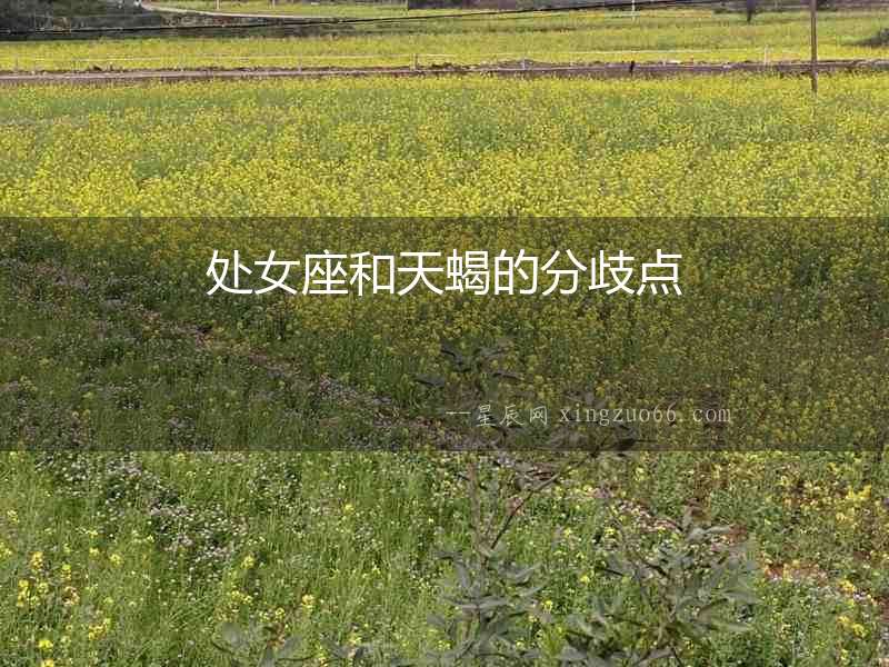 處女座和天蝎的分歧點