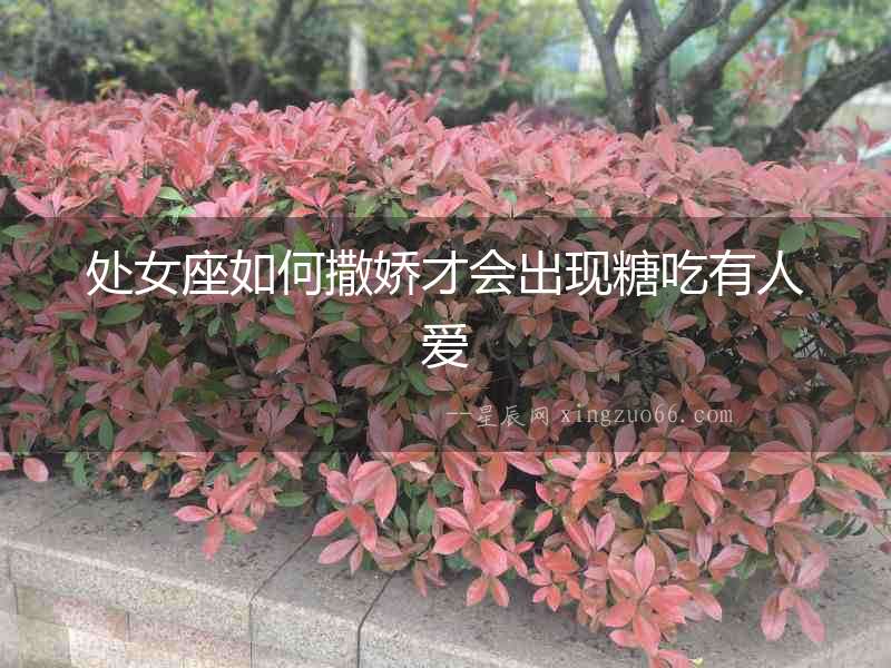 處女座如何撒嬌才會出現(xiàn)糖吃有人愛