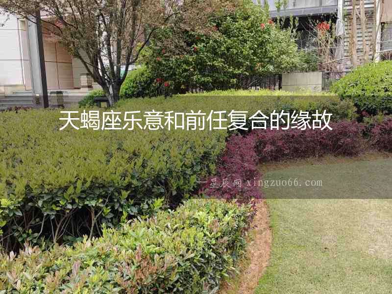 天蝎座樂意和前任復合的緣故