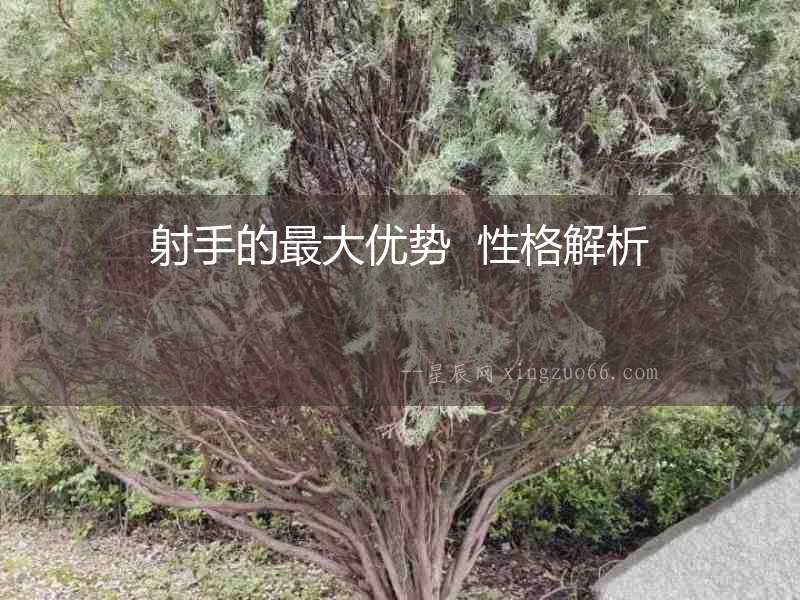 射手的最大優勢  性格解析