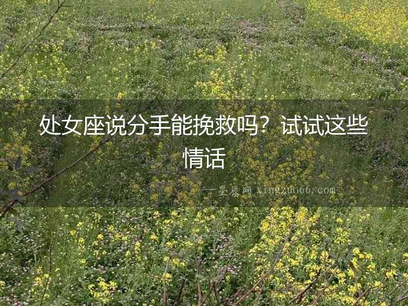 處女座說分手能挽救嗎？試試這些情話
