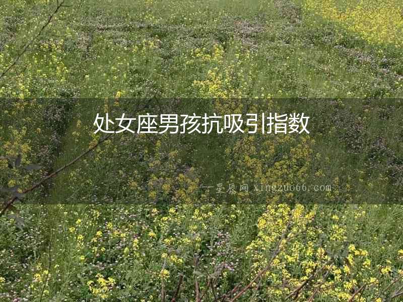 處女座男孩抗吸引指數(shù)