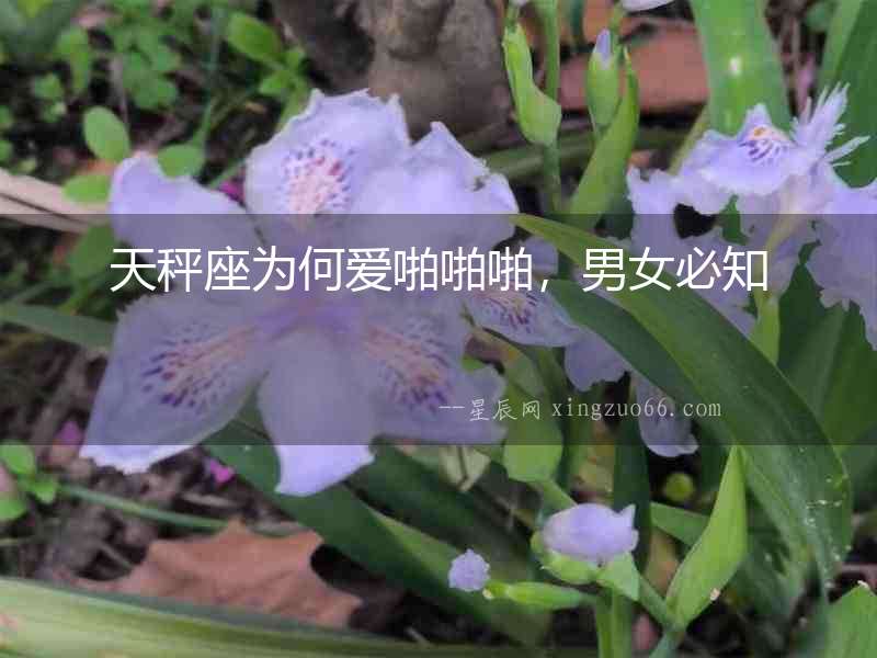 天秤座為何愛啪啪啪，男女必知