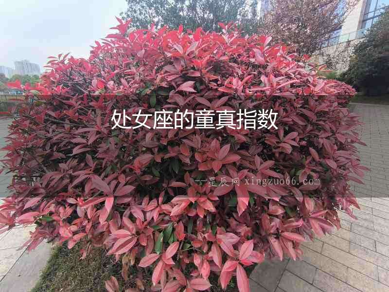 處女座的童真指數