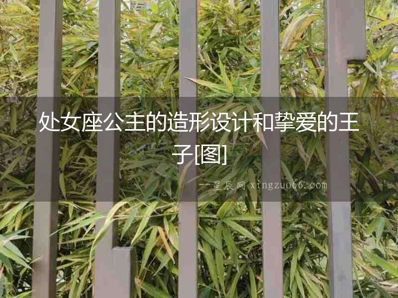 處女座公主的造形設(shè)計(jì)和摯愛(ài)的王子[圖]