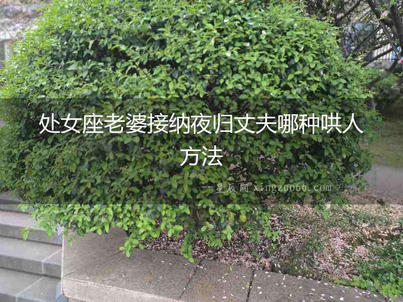 處女座老婆接納夜歸丈夫哪種哄人方法