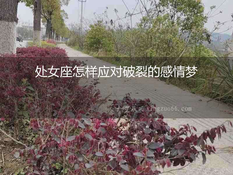 處女座怎樣應(yīng)對(duì)破裂的感情夢(mèng)