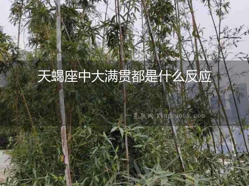 天蝎座中大滿貫都是什么反應