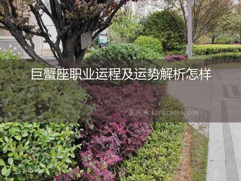 巨蟹座職業運程及運勢解析怎樣