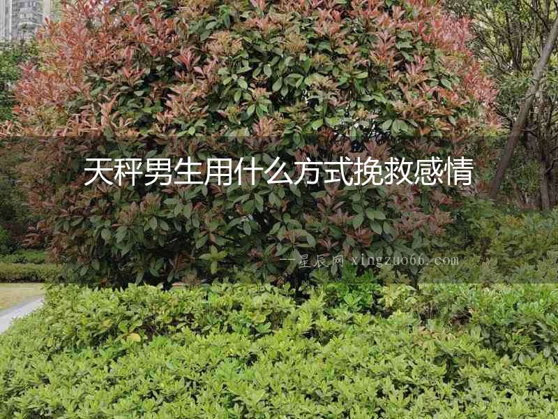 天秤男生用什么方式挽救感情