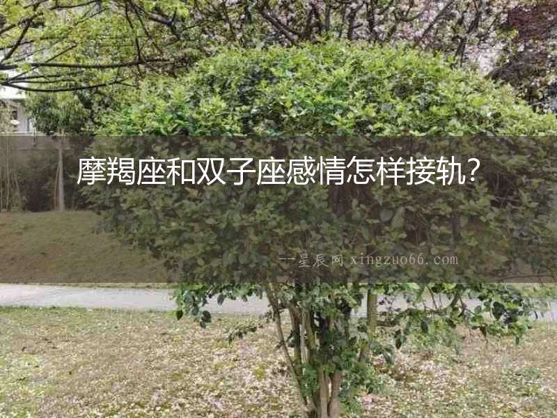 摩羯座和雙子座感情怎樣接軌？
