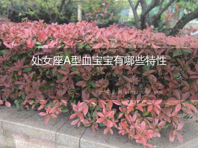 處女座A型血寶寶有哪些特性