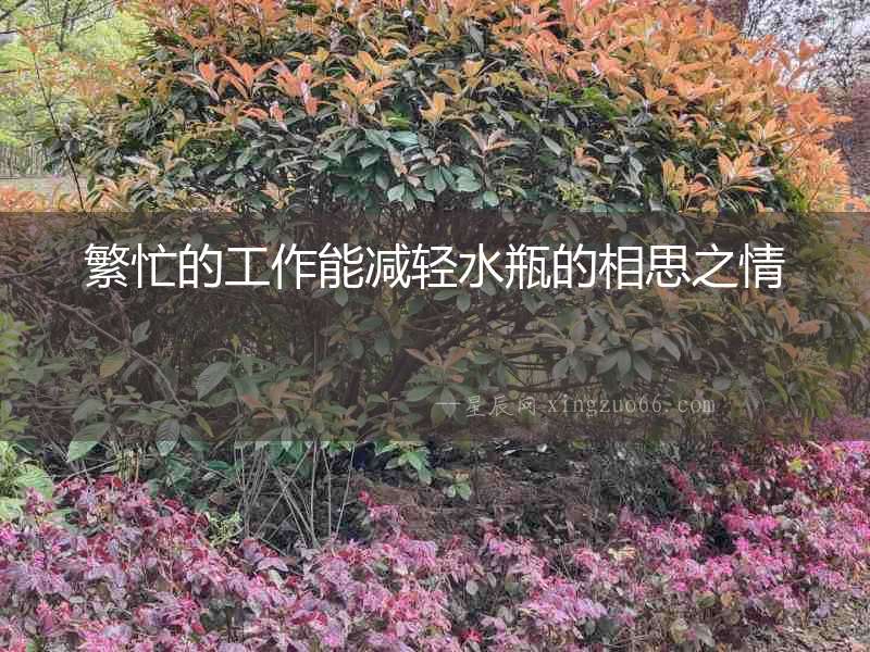 繁忙的工作能減輕水瓶的相思之情